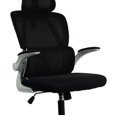 SILLA JEMIP OFFICE WHITE MONEY